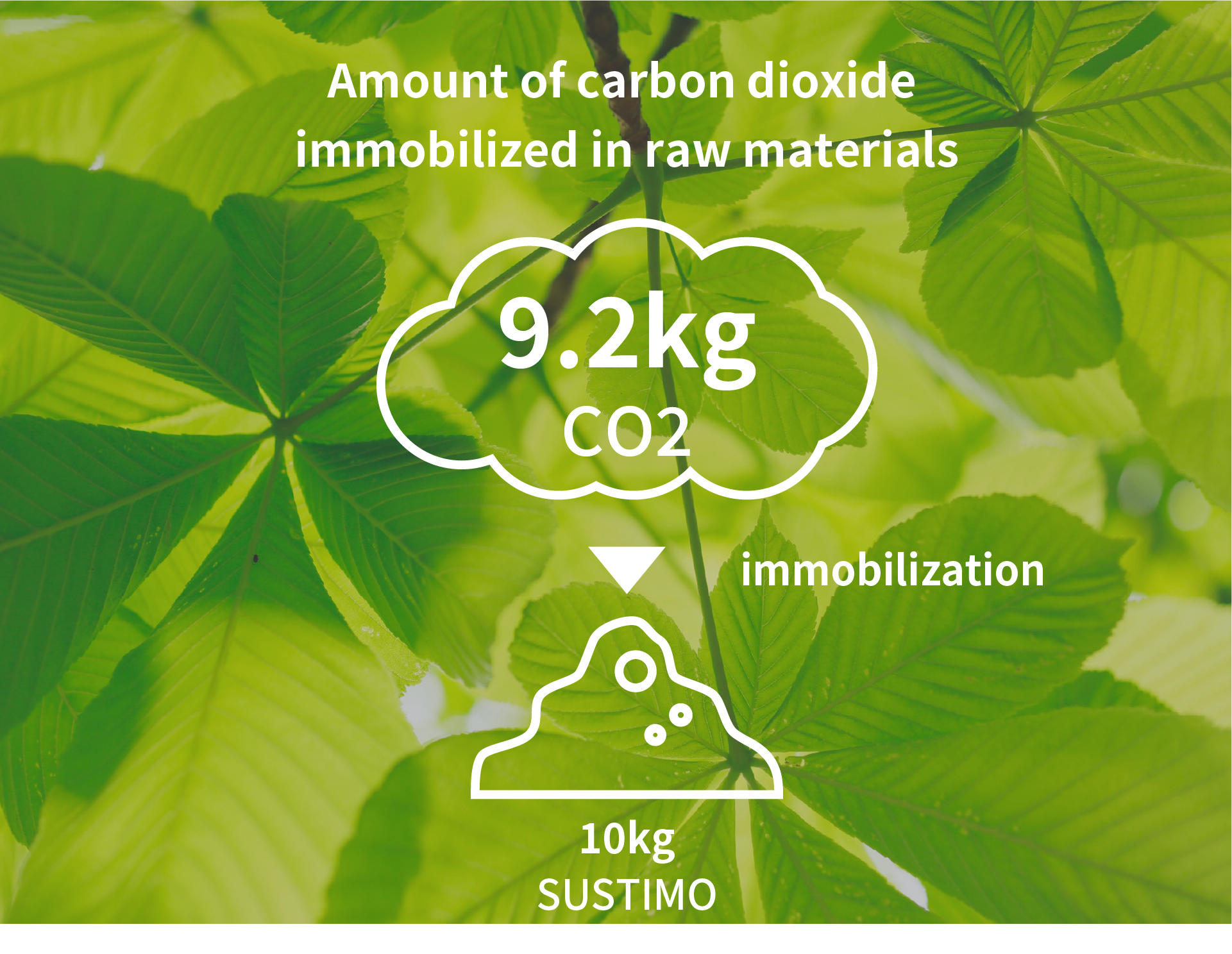 ・The amount of carbon dioxide absorbed in the raw material